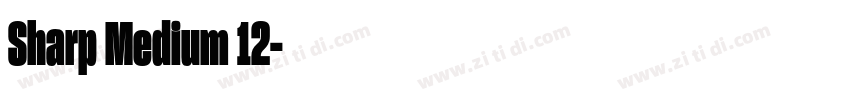 Sharp Medium 12字体转换 Sharp Medium 12字体转换